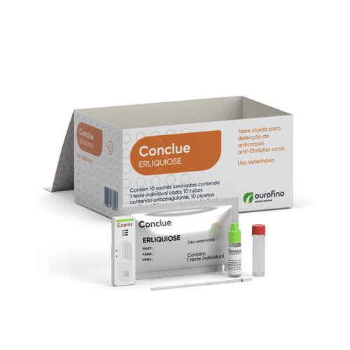 CONCLUE ERLIQUIOSE C/10 TESTES