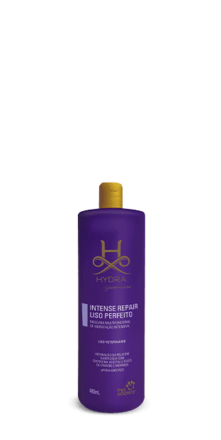 HYDRA GROO.I.REP.SYS.LISO PERFEITO 480ML